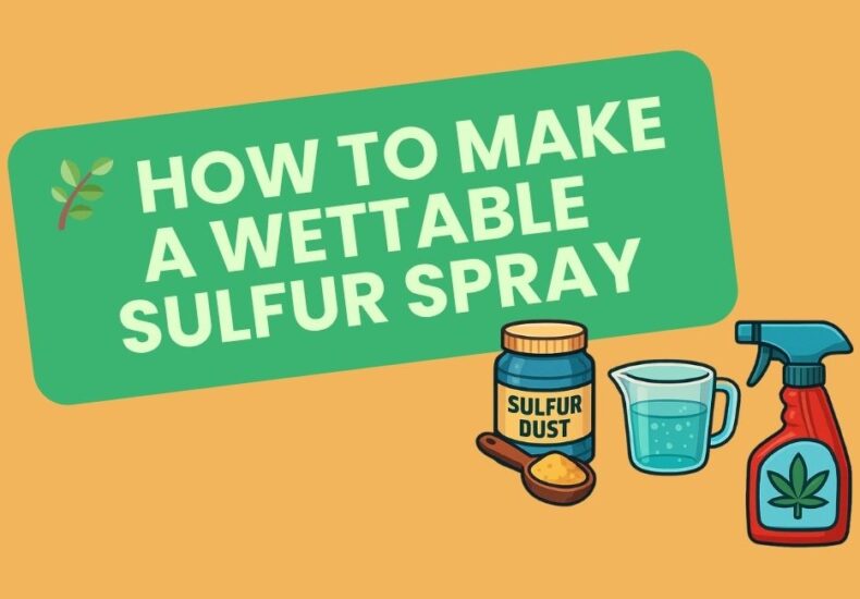🌿 HOW TO MAKE A WETTABLE SULFUR SPRAY