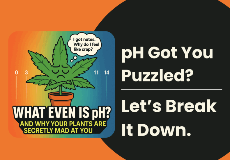 pH Got You Puzzled? Let’s Break It Down