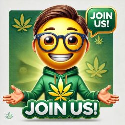 join us_brampton_mississauga